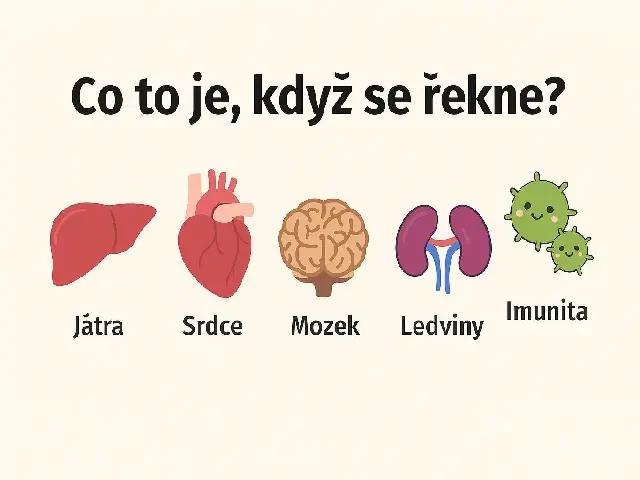 Co to je, když se řekne